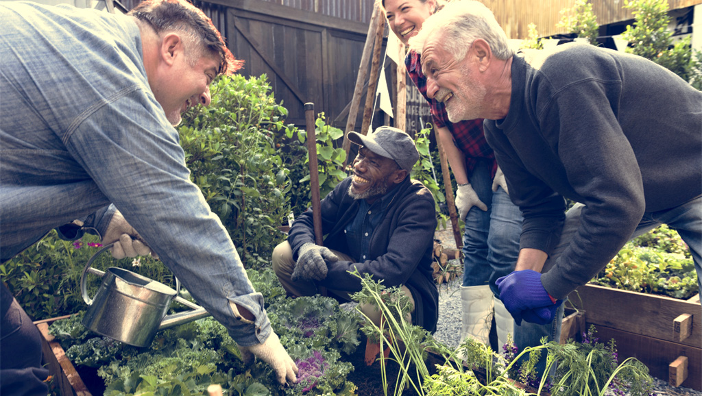 Photo of a group of happy people gardening together